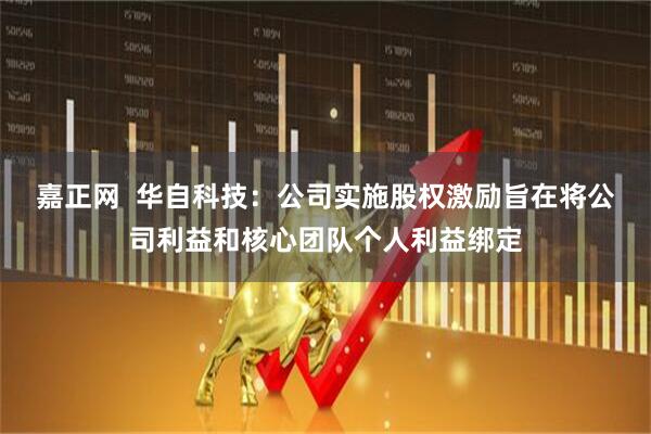 嘉正网  华自科技：公司实施股权激励旨在将公司利益和核心团队个人利益绑定