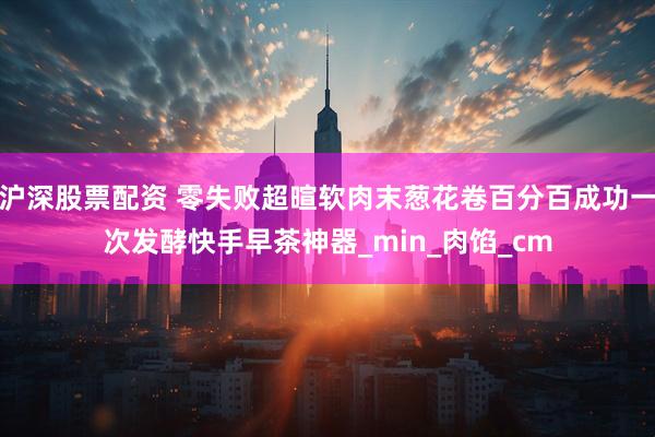 沪深股票配资 零失败超暄软肉末葱花卷百分百成功一次发酵快手早茶神器_min_肉馅_cm