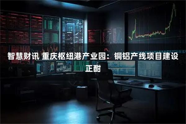 智慧财讯 重庆枢纽港产业园：铜铝产线项目建设正酣