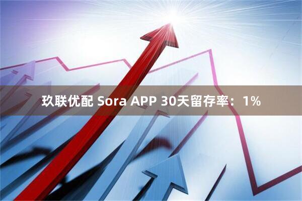 玖联优配 Sora APP 30天留存率：1%